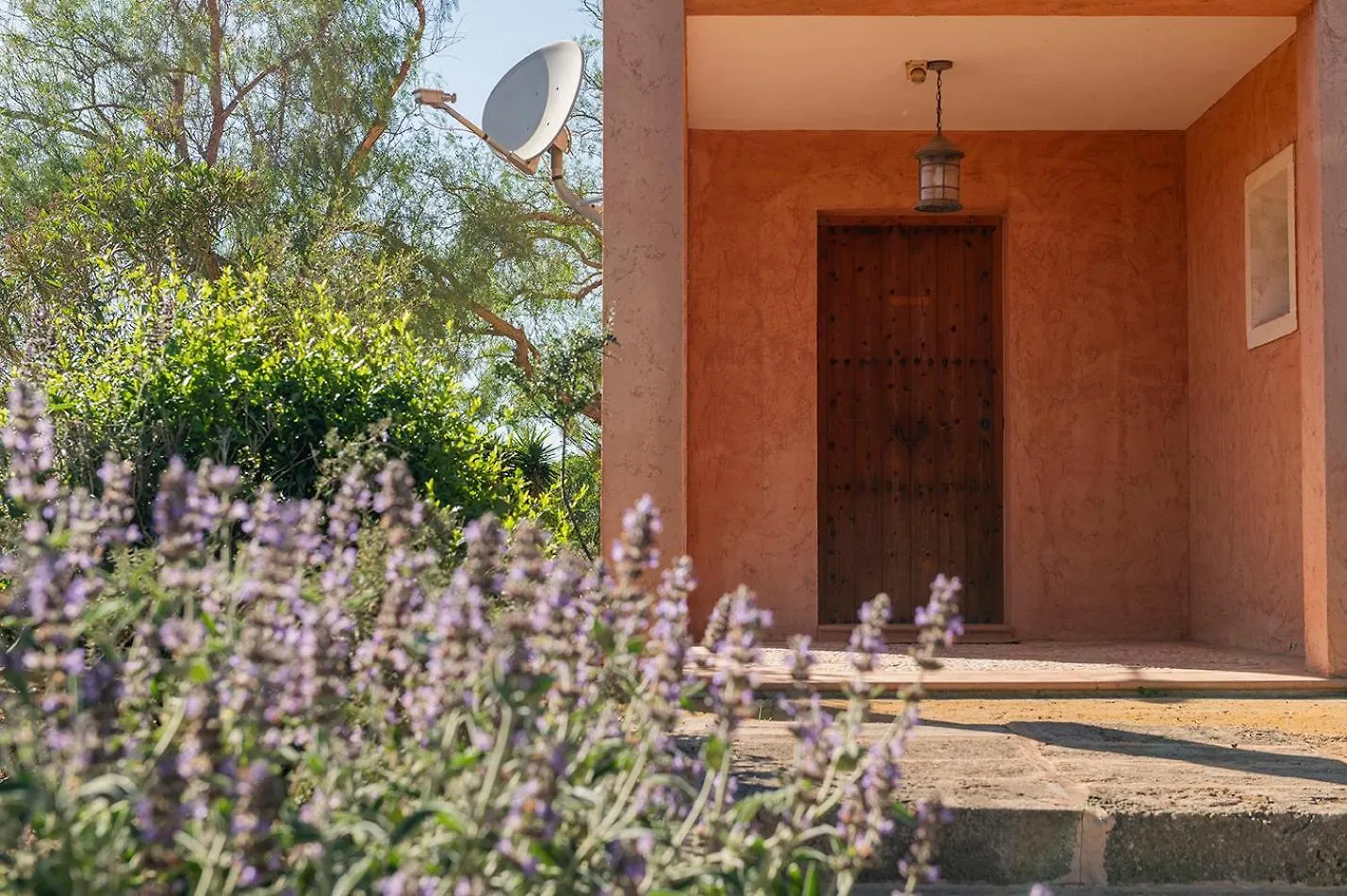 Finca Del Corazon كامبوس